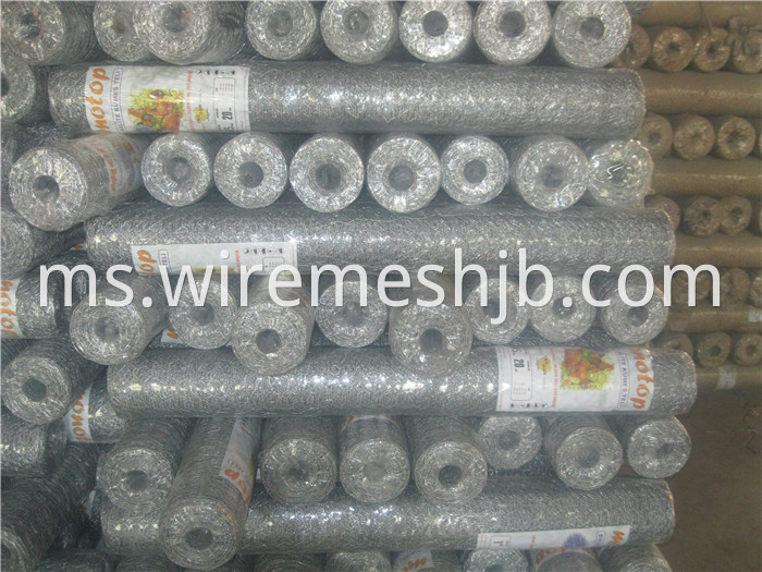 Hexagonal Decorative Mesh